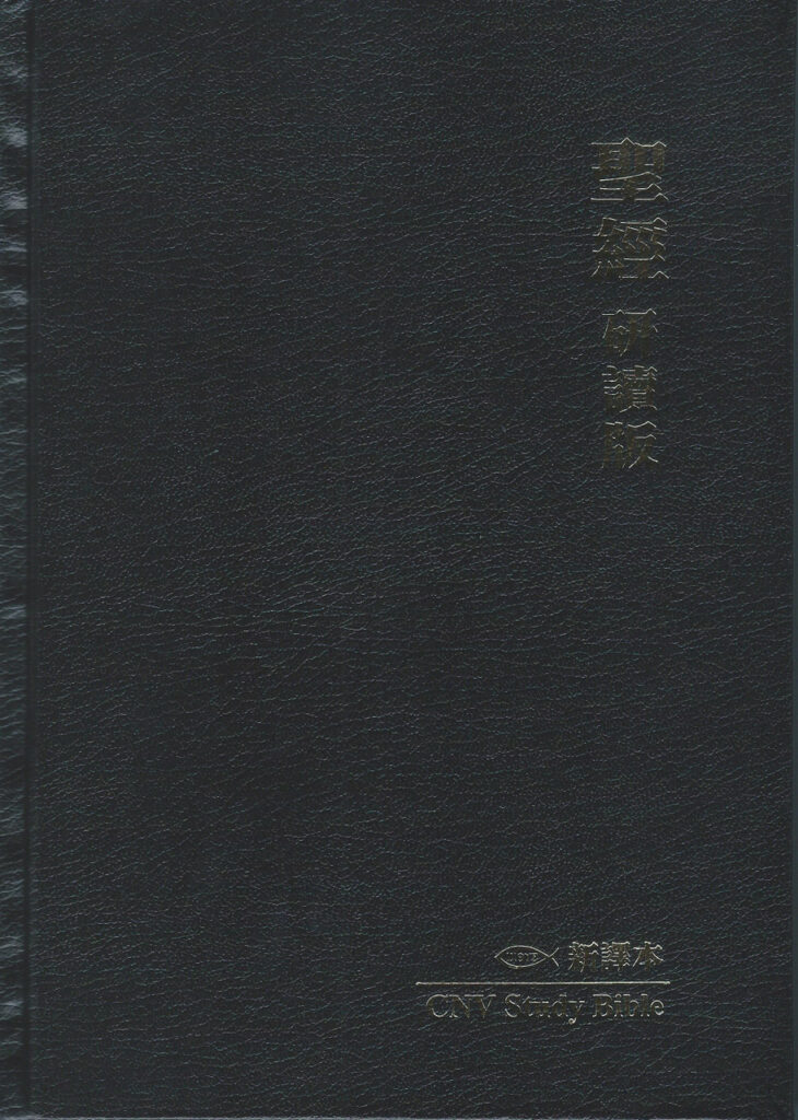 bible study in chinese