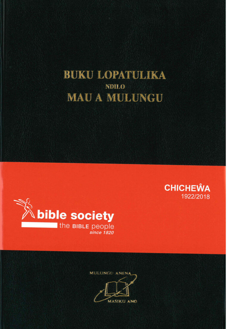 Chichewa Bible Vinyl » Multi-Language Media