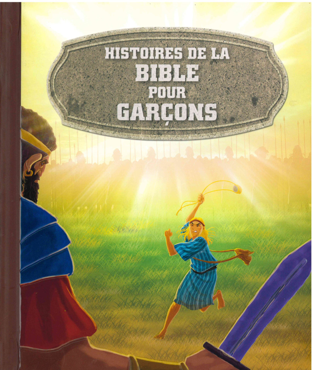 french-bible-stories-for-boys-multi-language-media