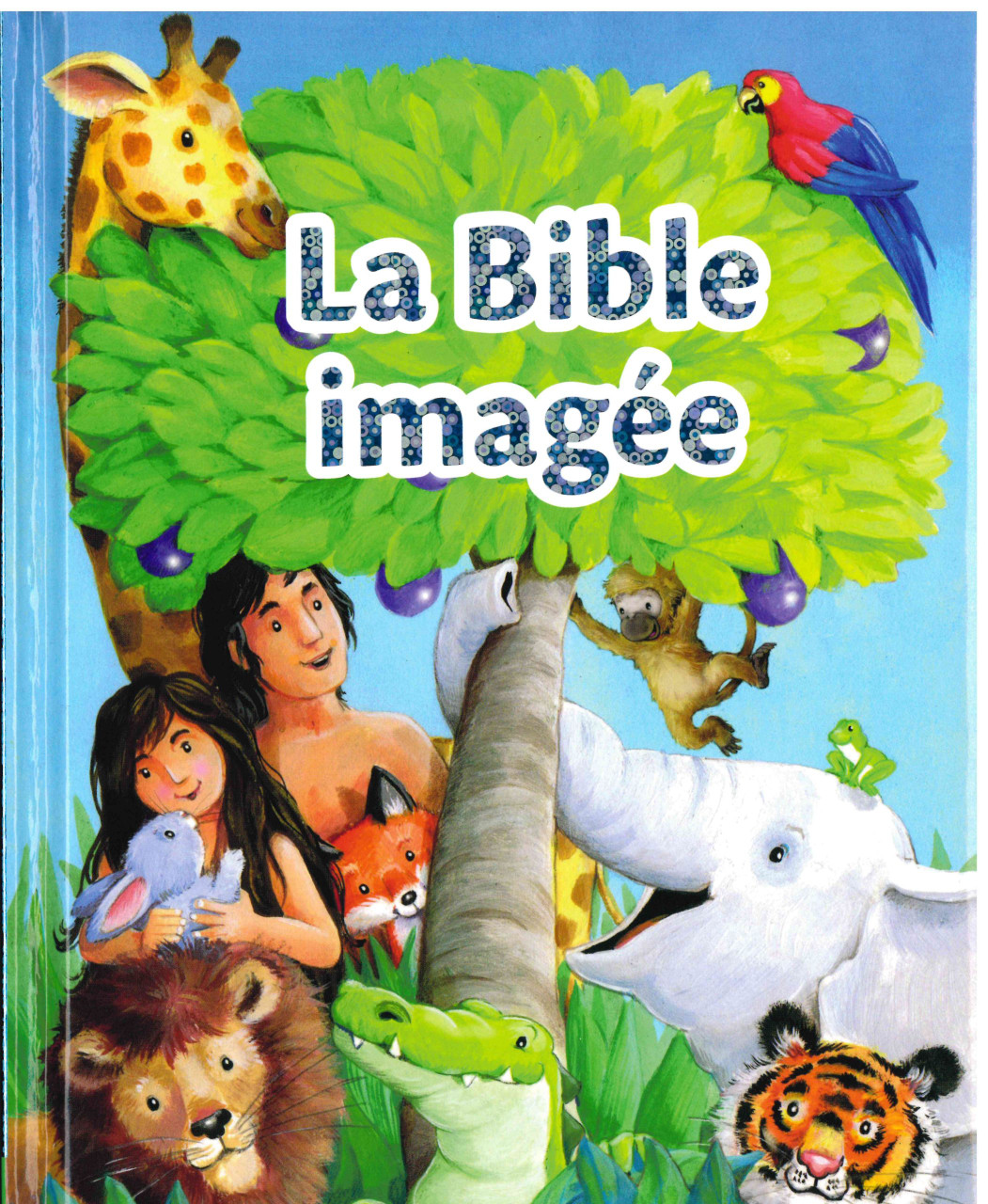 French - Children's Pictorial Bible » Multi-Language Media